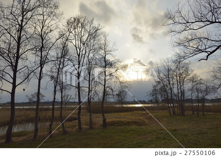 伊豆沼・内沼水生植物園の夕暮れ風景（宮城県） 27550106