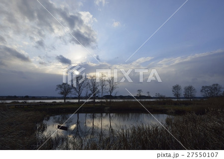 伊豆沼・内沼水生植物園の夕暮れ風景（宮城県） 27550107