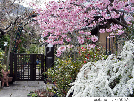 住まいの玄関　門廻り 27550620