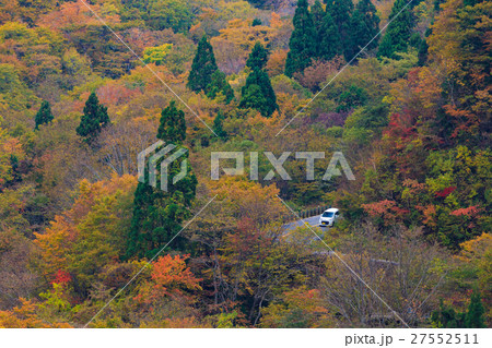紅葉の「大山蒜山パークウェイ」をドライブする自動車 27552511