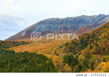 大山の紅葉 鍵掛峠からブナの森と南壁 の写真素材