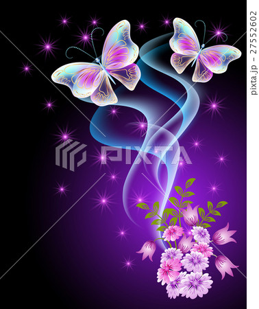 Transparent butterflies with flowers and stars 27552602