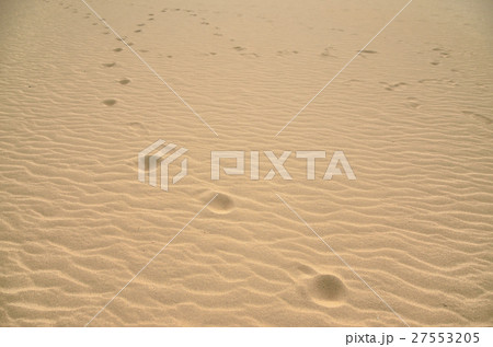 鳥取砂丘の風紋と足跡 27553205