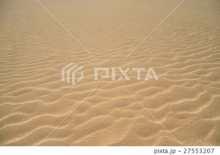 鳥取砂丘の風紋 鳥取砂丘の風紋 27553207