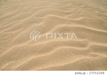 鳥取砂丘の風紋 鳥取砂丘の風紋 27553209