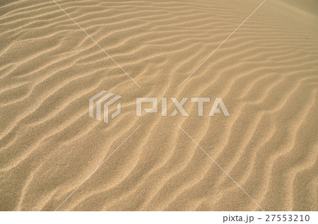 鳥取砂丘の風紋 27553210