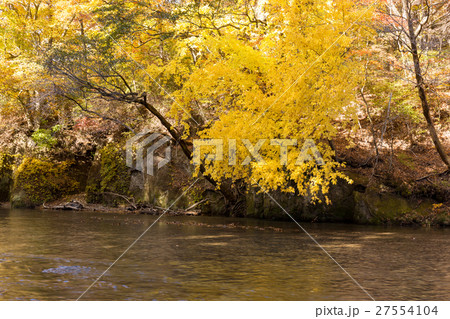 福島県 阿武隈川上流 西郷瀞(11月) 福島県 阿武隈川上流 西郷瀞(11月) 27554104