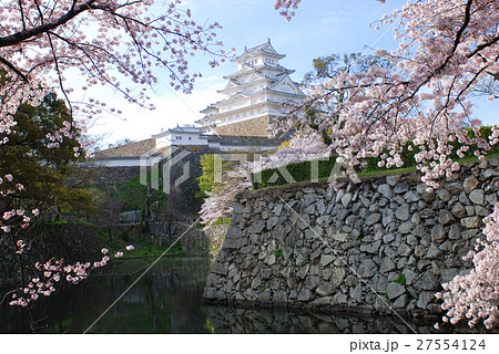 姫路城と桜 27554124