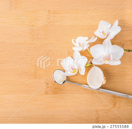 Dentistry Concept orchid, shell and dental tools Dentistry Concept orchid, shell and dental tools 27555589