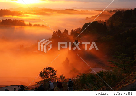 峠の棚田 峠の棚田 27557581