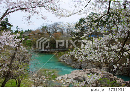 春の厳美渓（岩手県一関市） 27559514