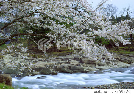 春の厳美渓（岩手県一関市） 27559520
