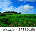 北海道 空 27560160