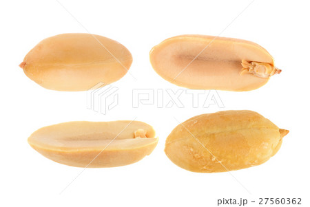 peanuts isolated on white background peanuts isolated on white background 27560362