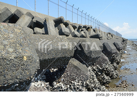 海岸･消波ブロック（多摩川河口／東京都大田区） 27560999