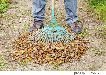Rake on the fallen leaves Rake on the fallen leaves 27561756