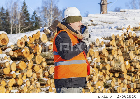 Lumberjack talking on phone near pile of logs 27561910