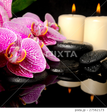 spa setting  blooming twig stripped violet orchid 27562173