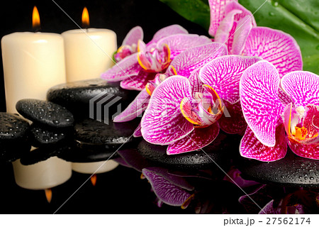 spa setting blooming twig stripped violet orchid spa setting blooming twig stripped violet orchid 27562174