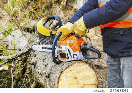 Lumberjack trying to start chainsaw 27563841