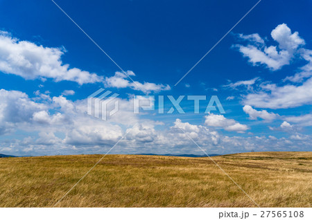 Autumn field, Australia Autumn field, Australia 27565108