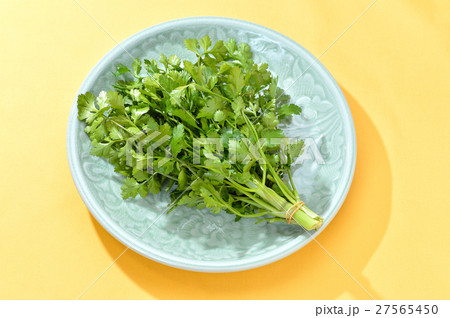 タイの食材ハーブ「パクチー（香菜）」。静岡県産。 27565450