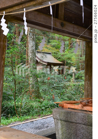 秋の小國神社　古代の森 27566024