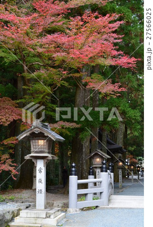 秋の小國神社 古代の森 秋の小國神社 古代の森 27566025