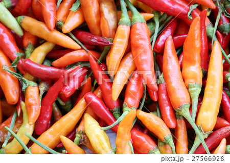 pile of paprika or fresh pepper in the market. pile of paprika or fresh pepper in the market. 27566928