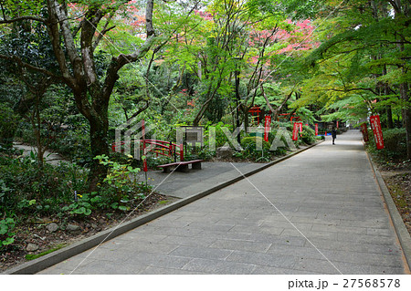 秋の油山寺 27568578