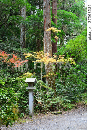 秋の油山寺 27568586