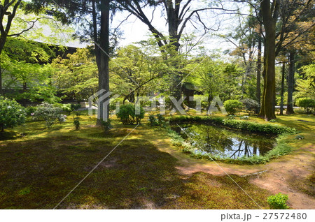 苔庭・池(広隆寺・京都市右京区太秦蜂岡町) 苔庭・池(広隆寺・京都市右京区太秦蜂岡町) 27572480