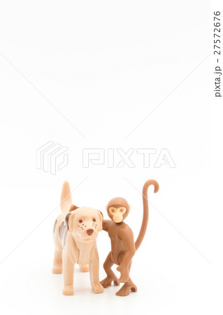 犬と猿: dog and monkey 犬と猿: dog and monkey 27572676