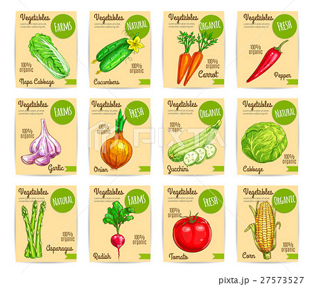 Vegetables price cards farm organic vector set 27573527