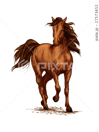Brown horse running gallop on races vector sketch 27573652