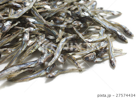 小魚 小魚 27574434