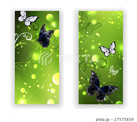 Two green banner with butterflies 27575839