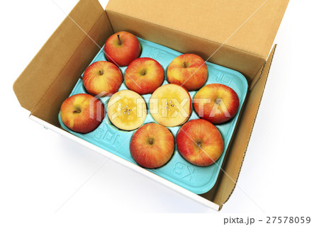 くだもの　りんご　品種：青森県産　高徳（こみつりんご） 27578059