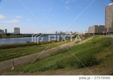 多摩川からの風景 多摩川からの風景 27578066