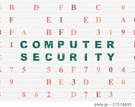 Security concept: Computer Security on wall 27578895