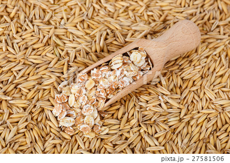 Oat grains and oat flakes 27581506
