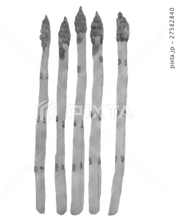 アスパラガス 水墨画 イラストのイラスト素材 27582840 Pixta