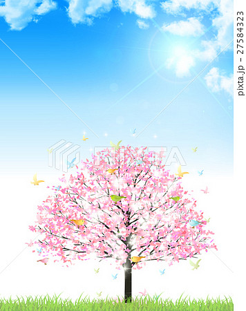 桜 鳥 春 背景 のイラスト素材