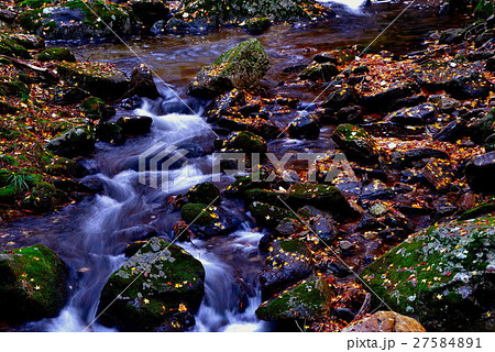花園渓谷 27584891