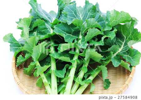 かき菜 27584908