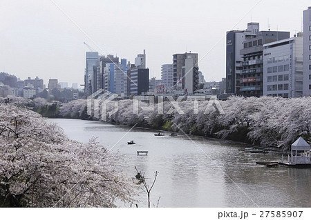 東京・市ヶ谷 外濠沿いの桜 東京・市ヶ谷 外濠沿いの桜 27585907