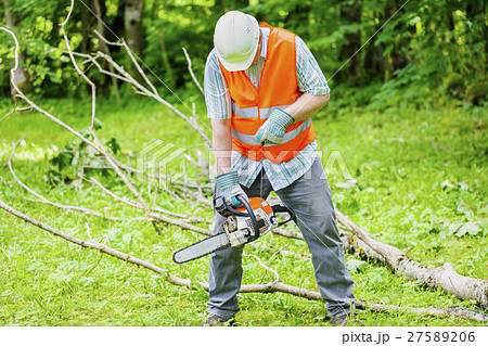 Lumberjack with chainsaw near big tree branch  27589206