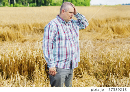 Worried farmer on destroyed cereal field Worried farmer on destroyed cereal field 27589218
