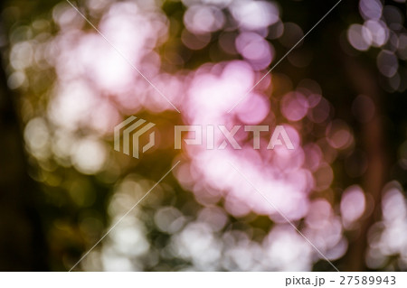 Bokeh of light through leaves Bokeh of light through leaves 27589943