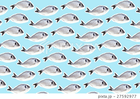 Collage with fish 27592977